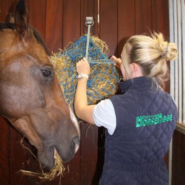 Top Up Your Horse’s Forage For The Night Shift!