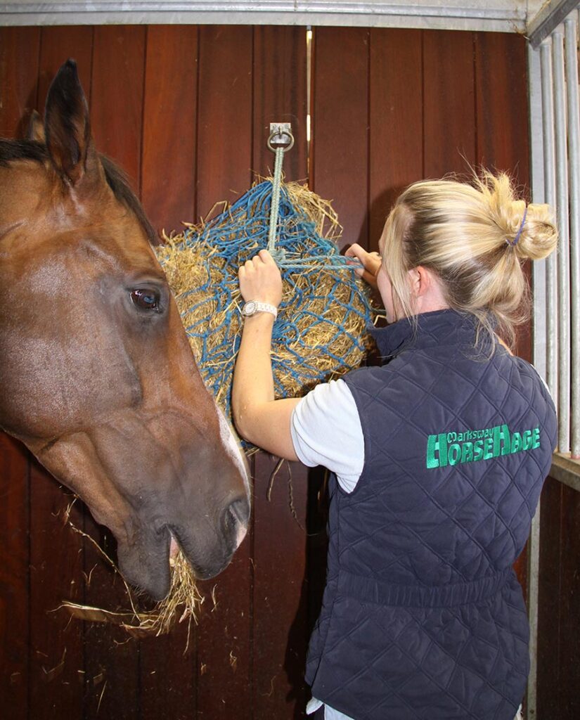Top Up Your Horse’s Forage For The Night Shift!