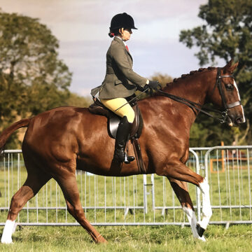 A Winning Shine for Ginger Biscuits from Mollichaff