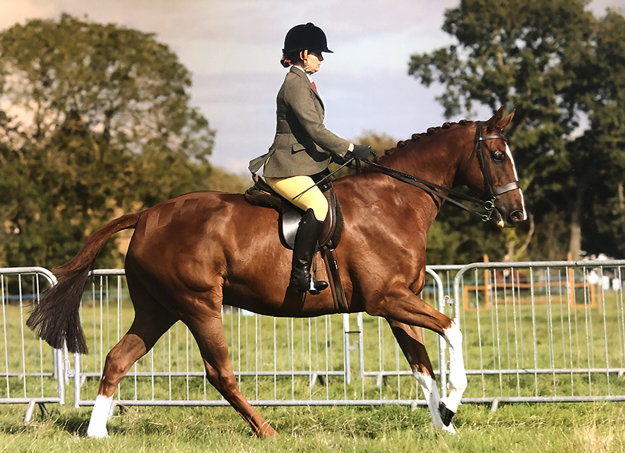 A Winning Shine for Ginger Biscuits from Mollichaff