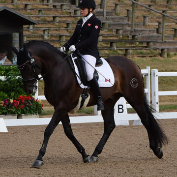 Bert Sheffield Selected For Canadian Para Team for FEI World Equestrian Games 2018