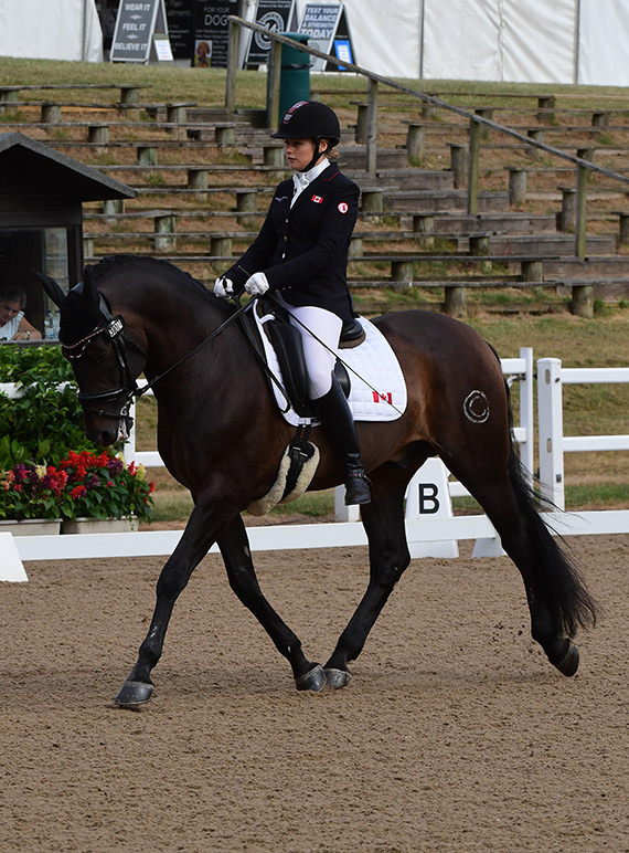 Bert Sheffield Selected For Canadian Para Team for FEI World Equestrian Games 2018