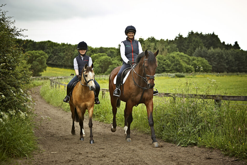 Explore Our High Fibre Forage & Horse Food