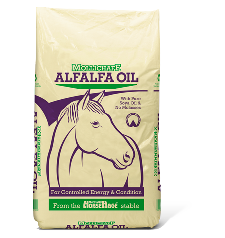 Mollichaff Alfalfa Oil