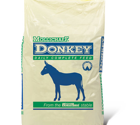 Mollichaff Donkey
