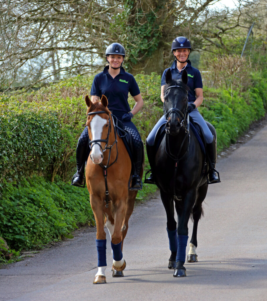 Explore Our High Fibre Forage & Horse Food