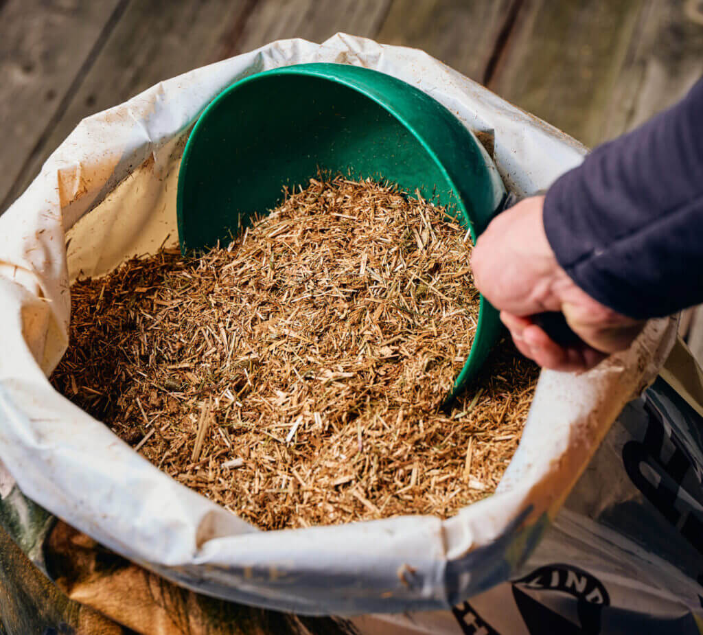 Why Feed Chaff to Horses?