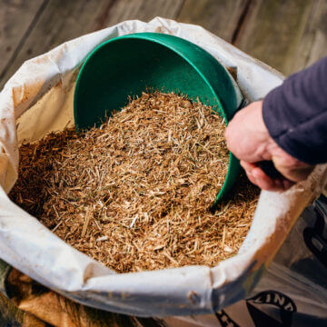 Why Feed Chaff to Horses?