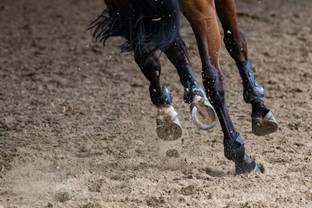 The Importance of Diet in Managing Laminitis
