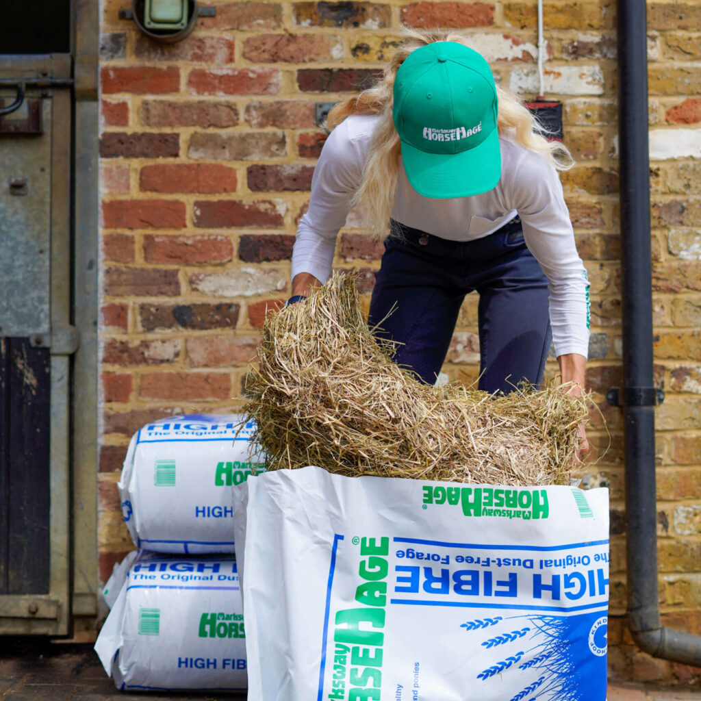 HorseHage vs Hay and Haylage