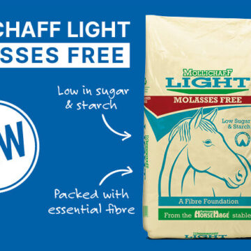 Announcing the Launch of Brand New Mollichaff Light Molasses Free