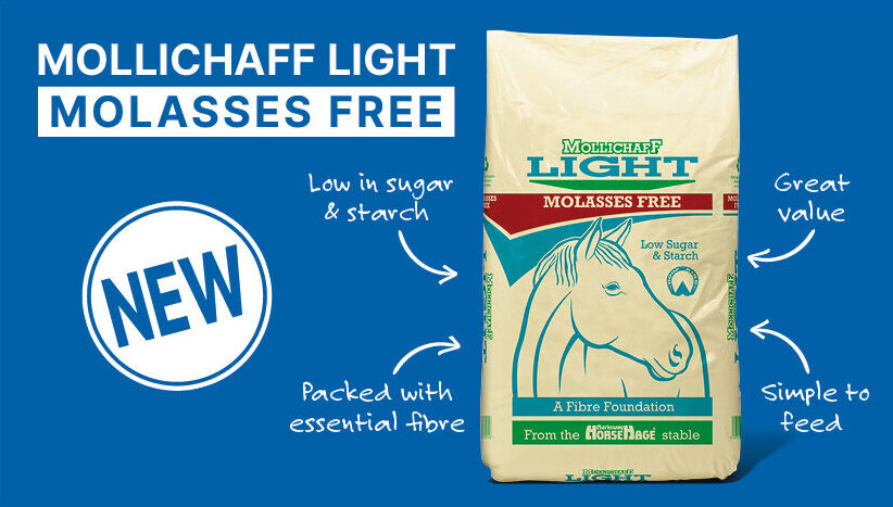 Announcing the Launch of Brand New Mollichaff Light Molasses Free