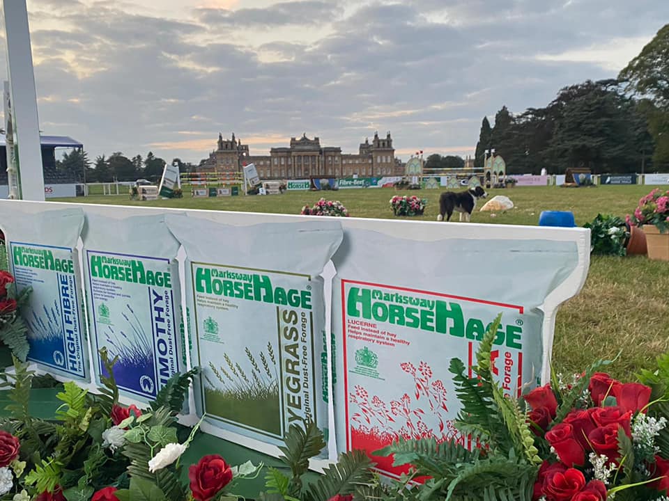 HorseHage sponsors Blenheim Palace International Horse Trials 2021