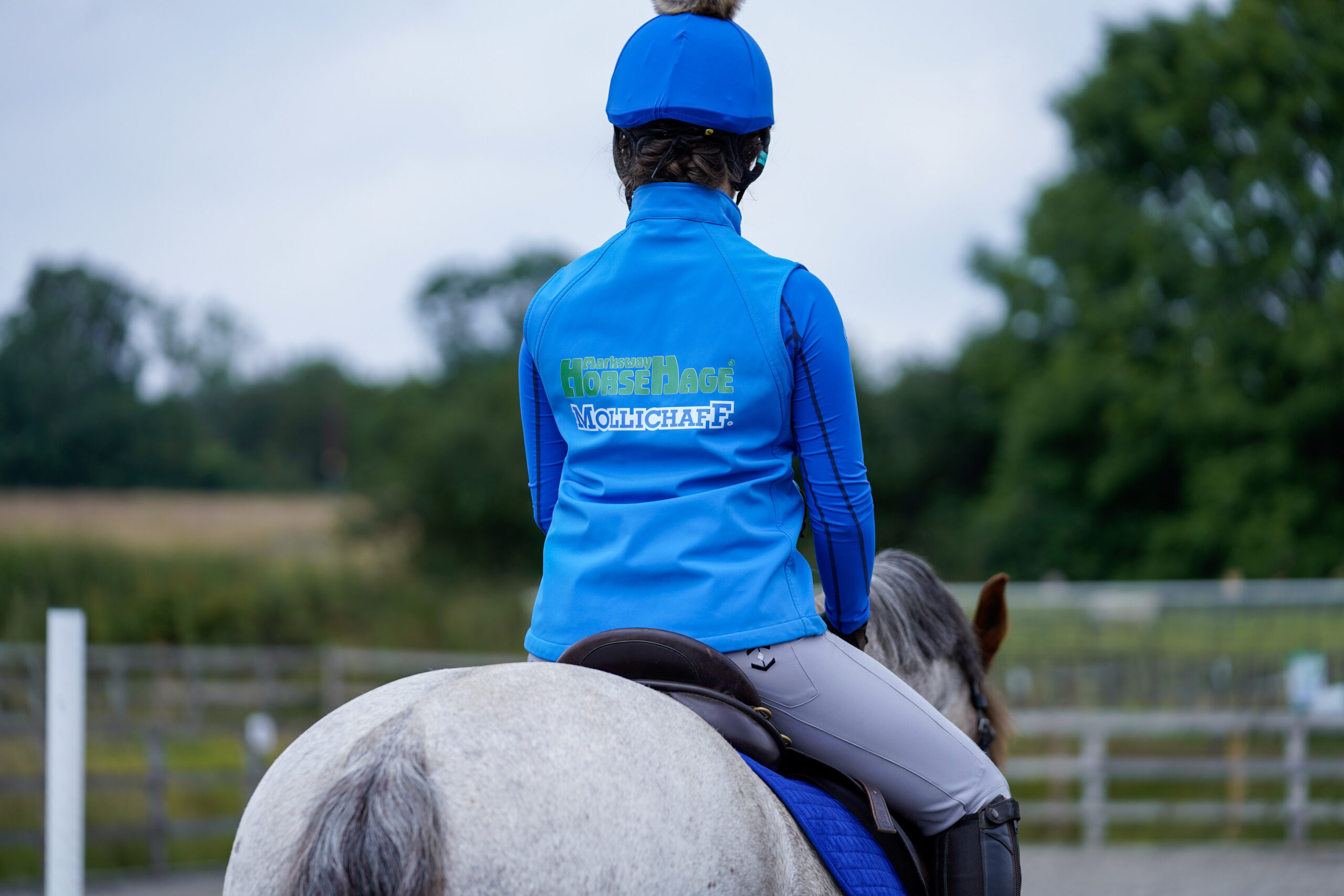 Benefits of Alfalfa in a Horse’s Diet HorseHage