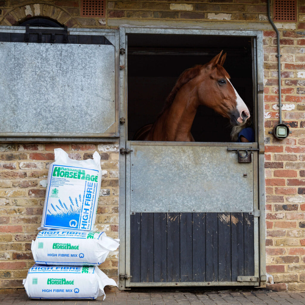 Benefits of a High Fibre Diet for Horses