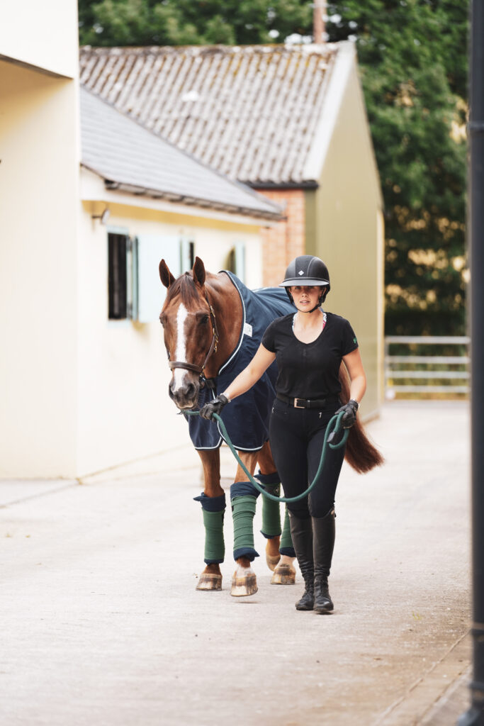 Dehydration in Horses