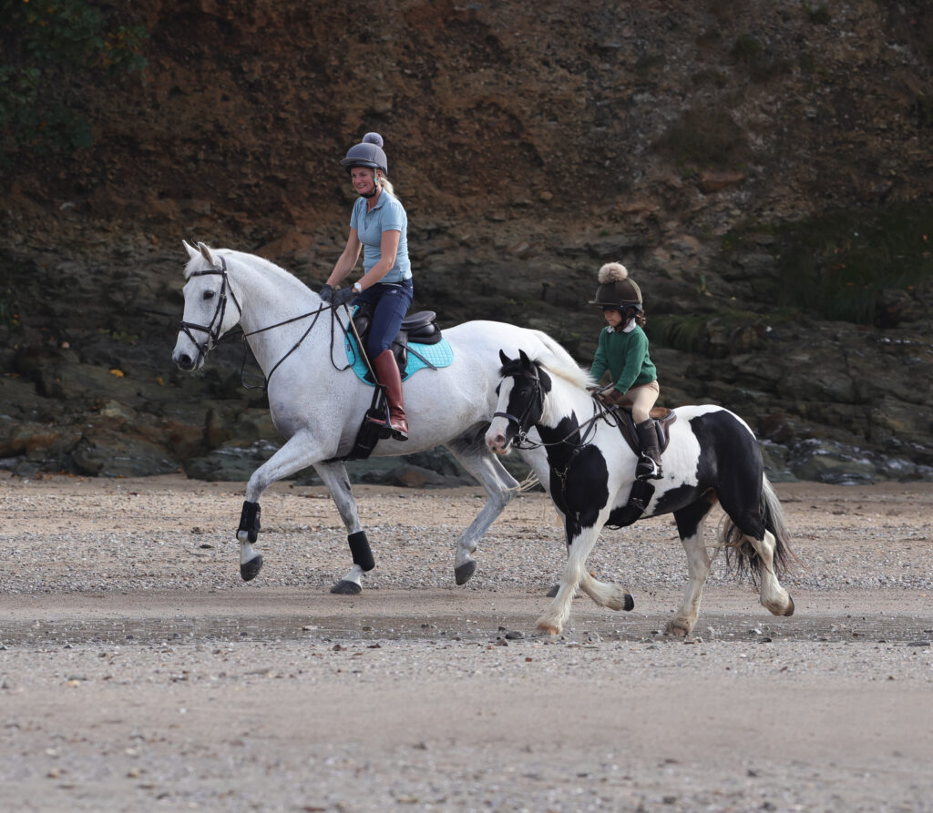 How to Spot Dental Issues in Horses