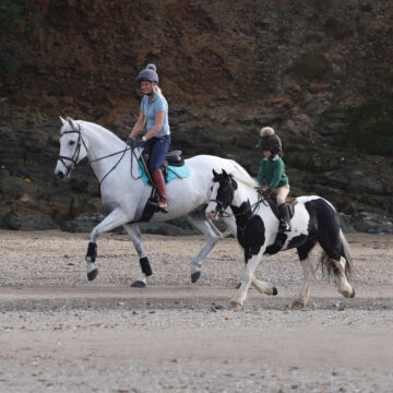 How to Spot Dental Issues in Horses