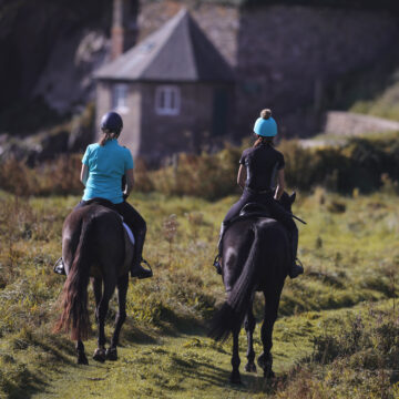 The Benefits of Oil for Horses