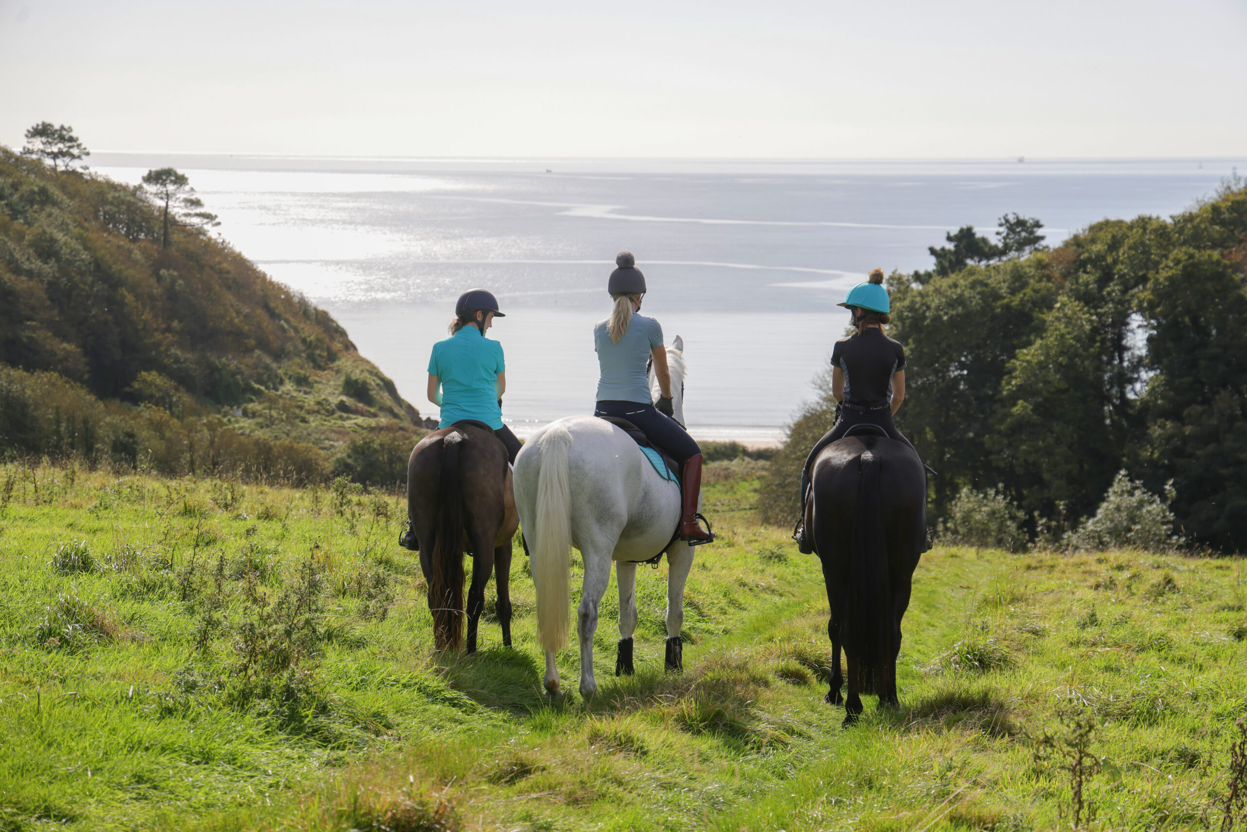 Horse & Hound Competition HorseHage