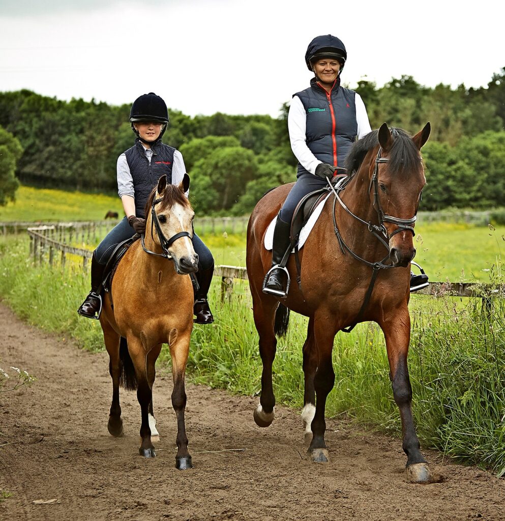 How to Reduce Your Horse Feed Costs