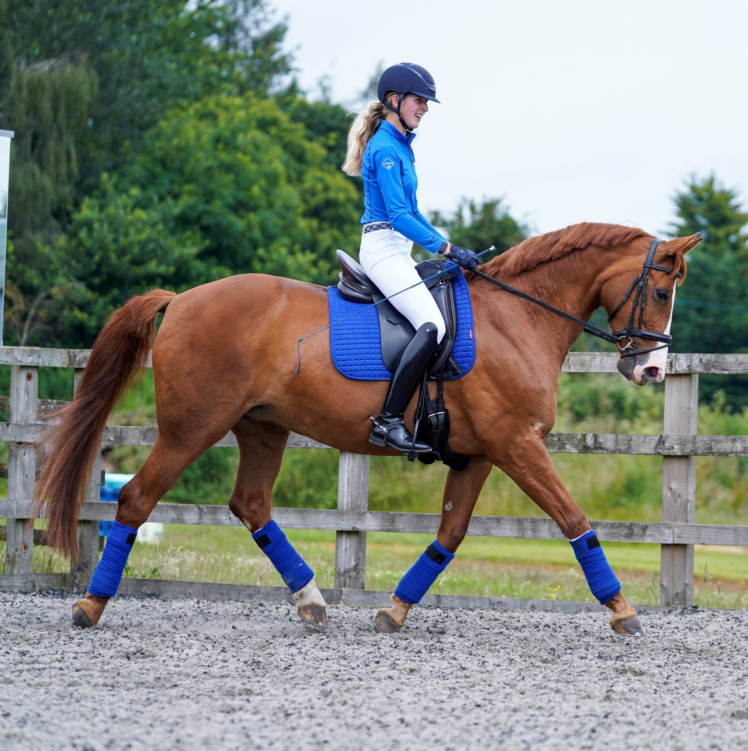 What to Feed Your Underweight Horse in the Spring HorseHage