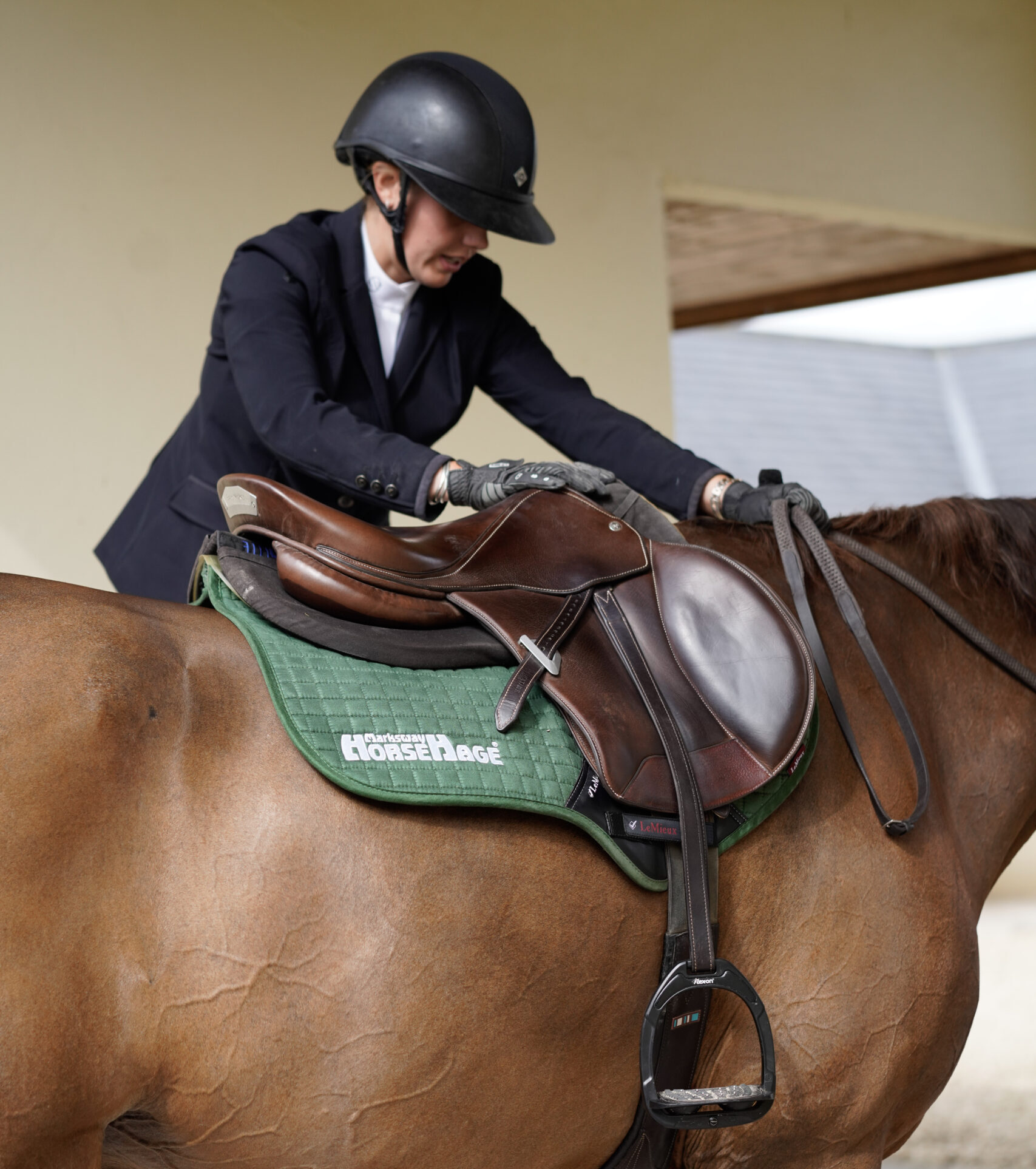 HorseHage vs Hay and Haylage HorseHage