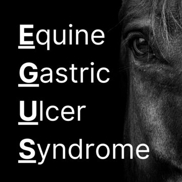 Feeding Horses Prone to Gastric Ulcers