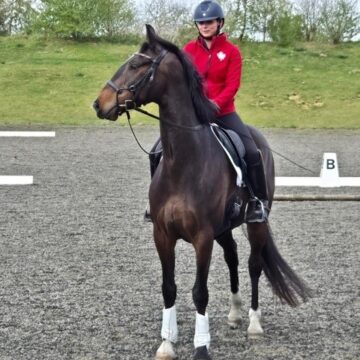 Out of the Winter and Into the Spring with Nardando: Building the Future, One Ride at a Time
