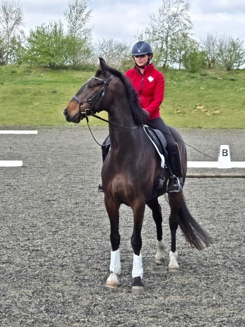 Out of the Winter and Into the Spring with Nardando: Building the Future, One Ride at a Time