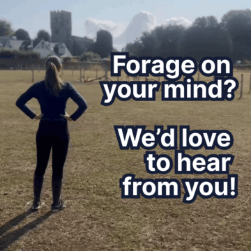 Forage Survey