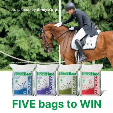 WIN HorseHage – October 2021